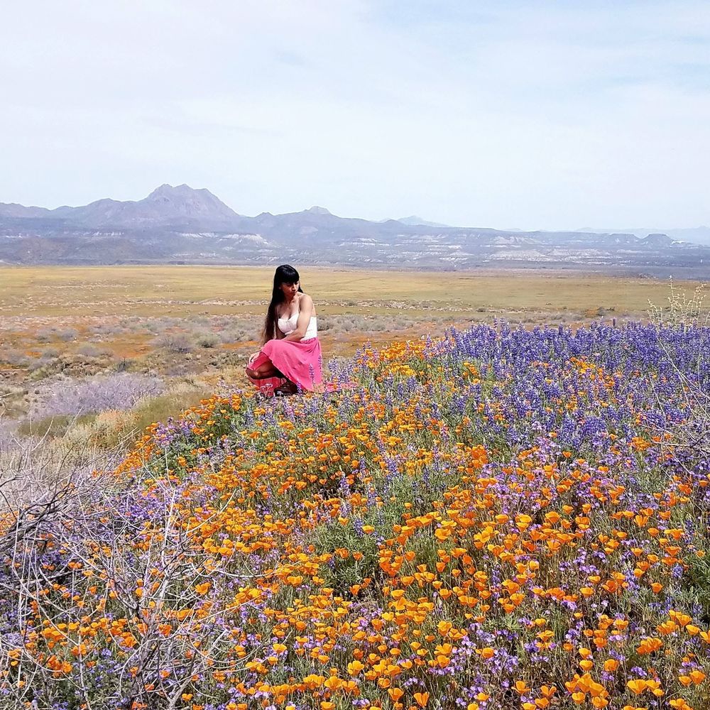 Meet your Posher, Seher